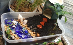 Fairy garden with freshly planted Forget-Me-Not seeds. 
