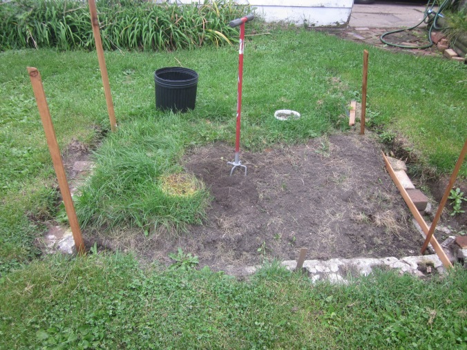 Small garden plot from an old foundation discovered under the turf grass.